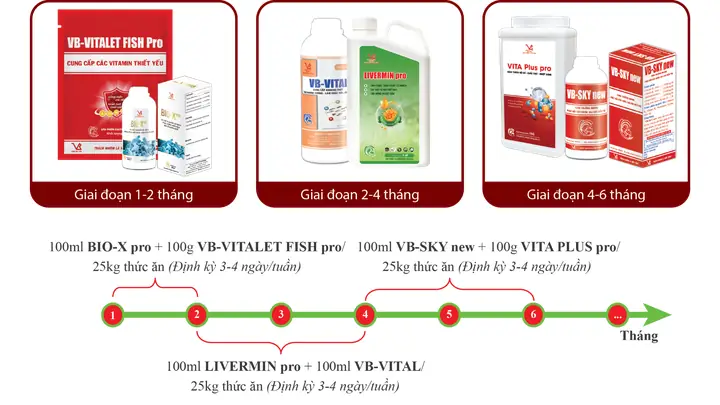 Dinh Dưỡng Cá Lóc: Hàm Lượng Protein, Vitamin Và Lợi Ích Sức Khỏe