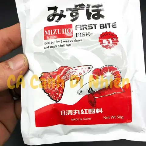 Top 5+ Đồ Chơi An Toàn, Kích Thích Cá Betta Sống Vui Khỏe