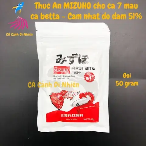 Top 5+ Đồ Chơi An Toàn, Kích Thích Cá Betta Sống Vui Khỏe