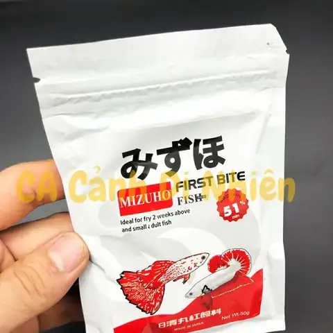 Top 5+ Đồ Chơi An Toàn, Kích Thích Cá Betta Sống Vui Khỏe