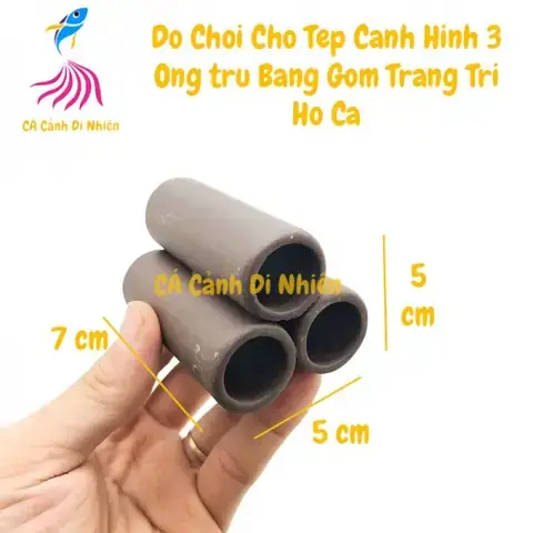 Đồ Chơi Cho Cá Cảnh: Lựa Chọn Nào Giúp Bể Thủy Sinh Sinh Động & Đẹp Mắt?