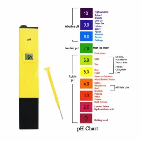Hướng Dẫn Đo Độ Ph Bể Cá: Cách Thực Hiện Và Ý Nghĩa Quan Trọng Hướng Dẫn Đo Độ Ph Bể Cá: Cách Thực Hiện Và Ý Nghĩa Quan Trọng