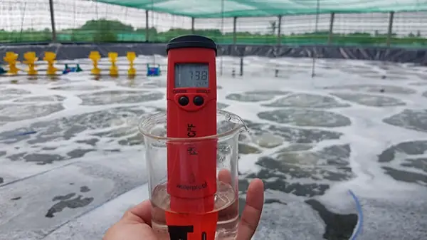 Hướng Dẫn Đo Độ Ph Bể Cá: Cách Thực Hiện Và Ý Nghĩa Quan Trọng Hướng Dẫn Đo Độ Ph Bể Cá: Cách Thực Hiện Và Ý Nghĩa Quan Trọng