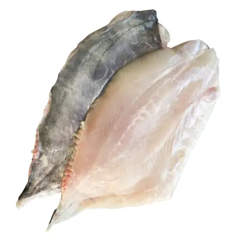 Cá Dory Là Cá Gì? Giải Mã Nguồn Gốc Và Tên Gọi Thực Sự Cá Dory Là Cá Gì? Giải Mã Nguồn Gốc Và Tên Gọi Thực Sự