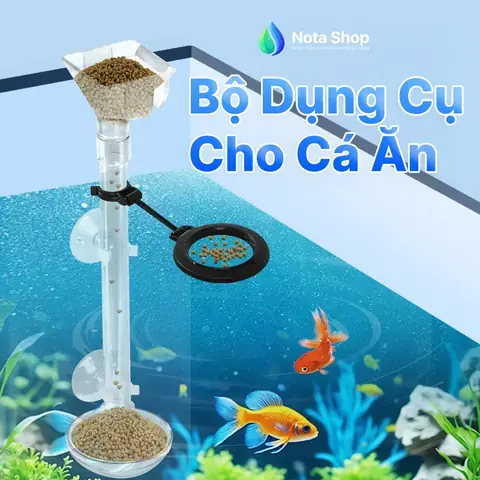 Top 10 Dụng Cụ Cá Cảnh Thiết Yếu & Phụ Kiện Thủy Sinh Nên Có