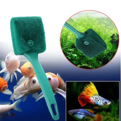 Top 10 Dụng Cụ Cá Cảnh Thiết Yếu & Phụ Kiện Thủy Sinh Nên Có