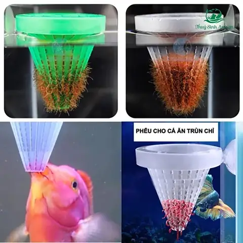 Dụng Cụ Cho Cá Ăn Trùn Chỉ: Lựa Chọn & Hướng Dẫn Sử Dụng Hiệu Quả
