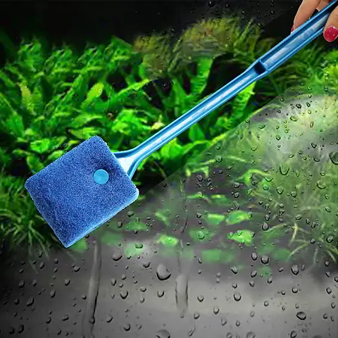 Top Các Loại Dụng Cụ Lau Kính Bể Cá Tốt Nhất Và Hướng Dẫn Chọn Mua