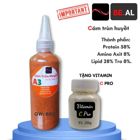 Hướng Dẫn Ép Cá Betta Với Trùn Huyết: An Toàn, Hiệu Quả & Lợi Ích