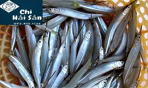 Giá Cá Lìm Kìm: Cập Nhật Mới Nhất & Địa Chỉ Mua Uy Tín