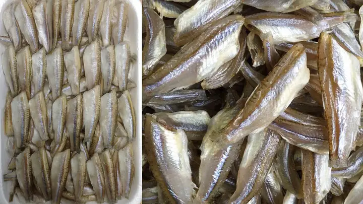 Giá Cá Lòng Tong Tươi & Khô Bao Nhiêu? Mua Ở Đâu Uy Tín
