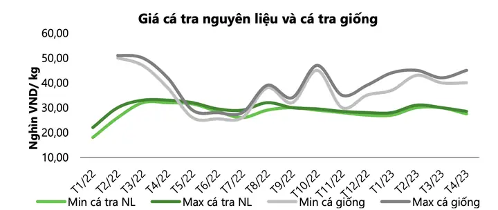 Cập Nhật Giá Cá Tra Hôm Nay: Phân Tích & Dự Báo Thị Trường Mới Nhất 2026