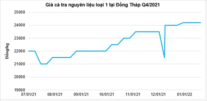 Cập Nhật Giá Cá Tra Hôm Nay: Phân Tích & Dự Báo Thị Trường Mới Nhất 2026