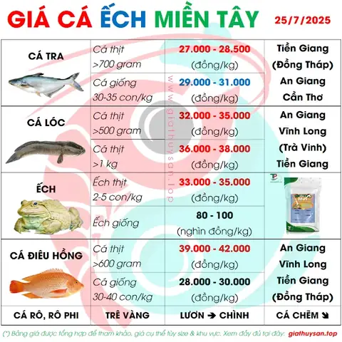 Giá Cá Tra Hôm Nay: Cập Nhật Mới Nhất, Dự Báo Thị Trường & Phân Tích