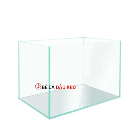 Giá Hồ Cá 40x30x30: Bảng Giá Chi Tiết & Kinh Nghiệm Mua Sắm Giá Hồ Cá 40x30x30: Bảng Giá Chi Tiết & Kinh Nghiệm Mua Sắm
