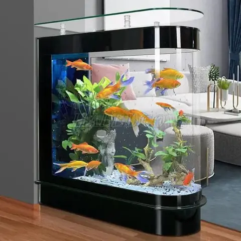 Bảng Giá Hồ Cá Cảnh: Chi Phí Thiết Kế, Kích Thước & Tư Vấn Mới Nhất 2026