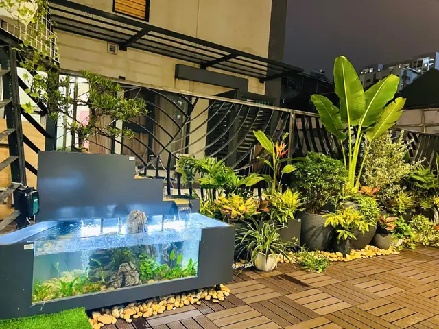 Giá Hồ Cá Composite: Báo Giá Chi Tiết & Lựa Chọn Phù Hợp