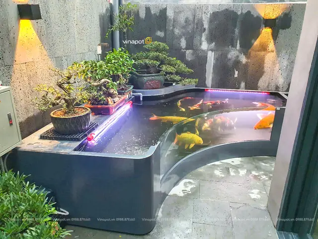 Giá Hồ Cá Composite: Báo Giá Chi Tiết & Lựa Chọn Phù Hợp