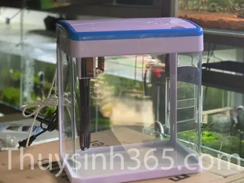 Giá Hồ Cá Mini: Cập Nhật Báo Giá & Tư Vấn Chọn Mua Giá Hồ Cá Mini: Cập Nhật Báo Giá & Tư Vấn Chọn Mua