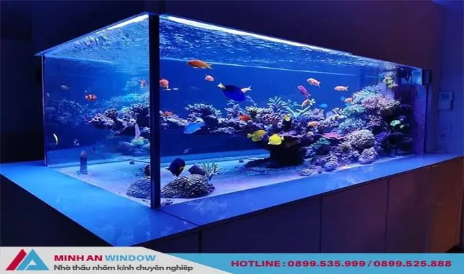 Báo Giá Kính Làm Bể Cá: Chi Tiết Kích Thước, Độ Dày & Loại Kính