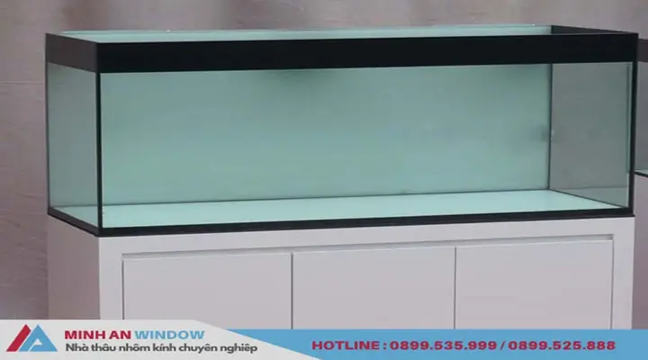 Giá Kính Làm Hồ Cá: Bảng Giá Chi Tiết & Kinh Nghiệm Chọn Kính Chuẩn Giá Kính Làm Hồ Cá: Bảng Giá Chi Tiết & Kinh Nghiệm Chọn Kính Chuẩn