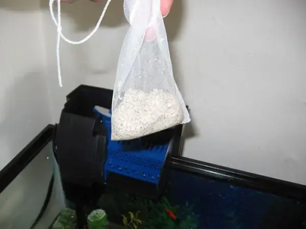 Giảm Ph Hồ Cá Rồng: Nguyên Nhân Và Cách Khắc Phục Hiệu Quả