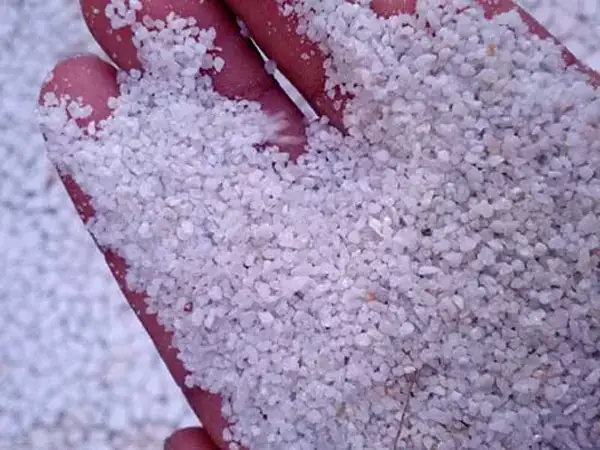 Giảm Ph Hồ Cá Rồng: Nguyên Nhân Và Cách Khắc Phục Hiệu Quả
