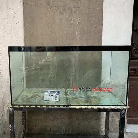 Giằng Bể Cá Là Gì? Công Dụng Và Tầm Quan Trọng Trong Xây Dựng Hồ Kính Giằng Bể Cá Là Gì? Công Dụng Và Tầm Quan Trọng Trong Xây Dựng Hồ Kính