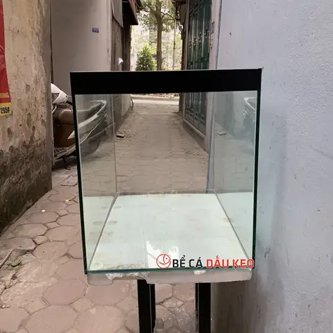 Giằng Bể Cá Là Gì? Công Dụng Và Tầm Quan Trọng Trong Xây Dựng Hồ Kính Giằng Bể Cá Là Gì? Công Dụng Và Tầm Quan Trọng Trong Xây Dựng Hồ Kính