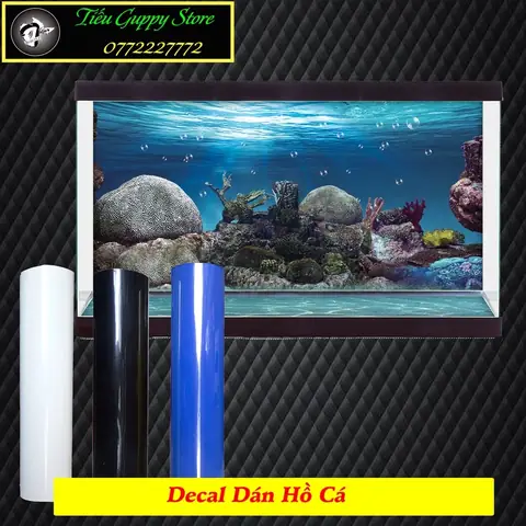 Giấy Dán Bể Cá: Hướng Dẫn Chọn Mua & Trang Trí Hồ Cá Đẹp Mắt