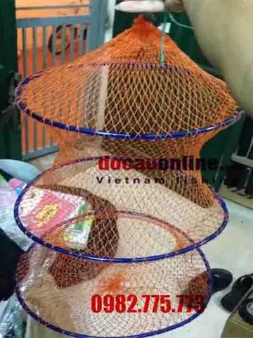 Giỏ Đựng Cá Nhỏ: Chọn Loại Nào Phù Hợp Cho Dân Câu & Di Chuyển Tiện Lợi