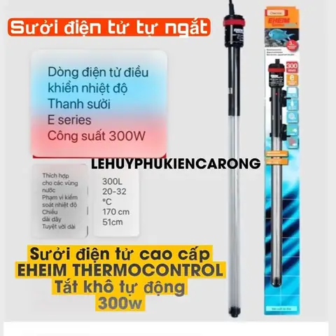 Hướng Dẫn Chi Tiết Cách Giữ Nhiệt Bể Cá An Toàn Và Hiệu Quả
