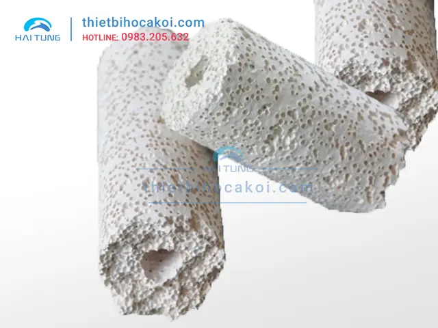 Gốm Lọc Nước Hồ Cá: Hướng Dẫn Chi Tiết & Lợi Ích Cho Hệ Sinh Thái