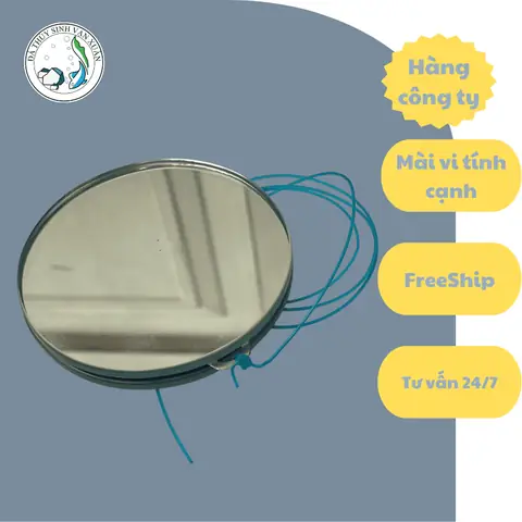 Kính Kè Cá La Hán: Hướng Dẫn Chi Tiết Cách Sử Dụng & Chọn Mua