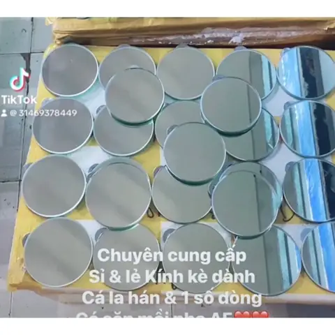 Kính Kè Cá La Hán: Hướng Dẫn Chi Tiết Cách Sử Dụng & Chọn Mua