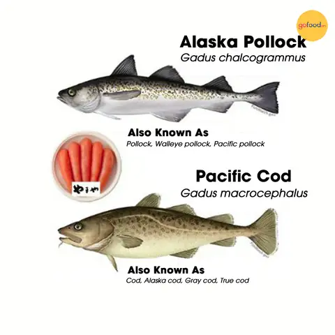 Haddock Là Cá Gì? Phân Biệt Haddock Với Các Loại Cá Tuyết Khác