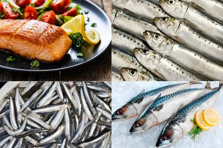 Hàm Lượng Omega 3 Trong Cá Hồi: Bao Nhiêu Là Tốt Cho Sức Khỏe?