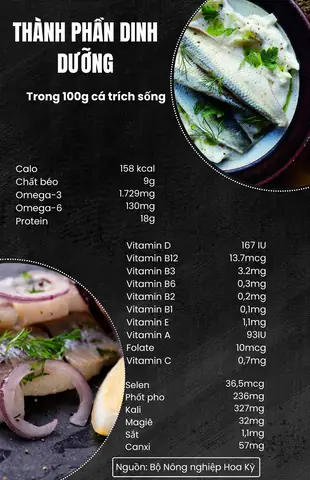 Hàm Lượng Omega 3 Trong Cá Hồi: Bao Nhiêu Là Tốt Cho Sức Khỏe?