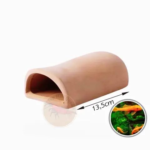 Hang Gốm Cho Cá: Nơi Trú Ẩn An Toàn & Trang Trí Bể Cá Đẹp