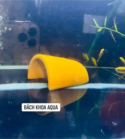 Hang Trú Ẩn Cho Cá: Lựa Chọn, Lợi Ích Và Cách Tối Ưu Không Gian Bể
