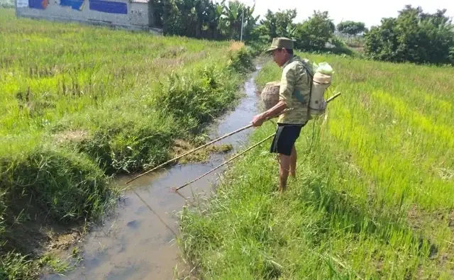 Hành Vi Sử Dụng Kích Điện Đánh Bắt Cá: Mức Phạt Và Hậu Quả Nghiêm Trọng