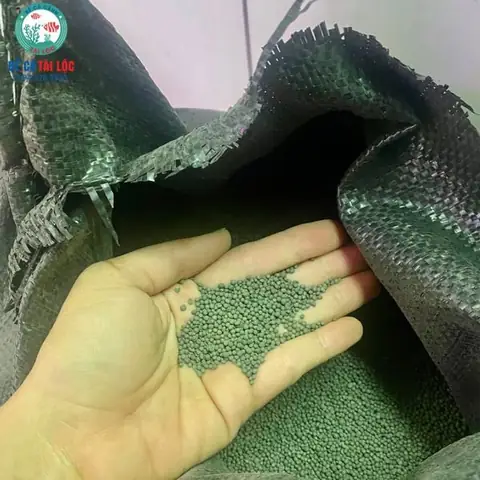 Hạt Gốm Trải Nền Bể Cá: Công Dụng, Lợi Ích Và Lưu Ý Khi Sử Dụng