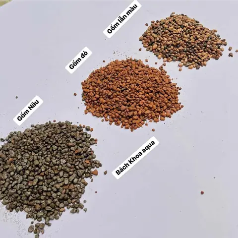 Hạt Gốm Trải Nền Bể Cá: Công Dụng, Lợi Ích Và Lưu Ý Khi Sử Dụng