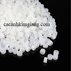 Hạt Lọc Nước Bể Cá: Kaldnes, Các Loại Phổ Biến & Công Dụng Lọc Nước Hiệu Quả