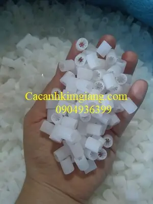 Hạt Lọc Nước Bể Cá: Kaldnes, Các Loại Phổ Biến & Công Dụng Lọc Nước Hiệu Quả