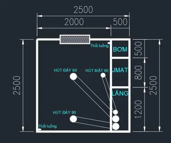 Hệ Thống Lọc Hồ Cá: Cấu Tạo, Nguyên Lý Hoạt Động & Các Loại Phổ Biến