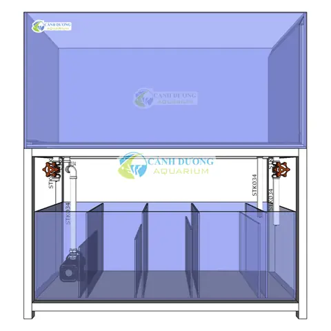 Hệ Thống Lọc Nước Bể Cá Rồng: Giải Pháp Tối Ưu Cho Hồ Cá Sạch & Khỏe