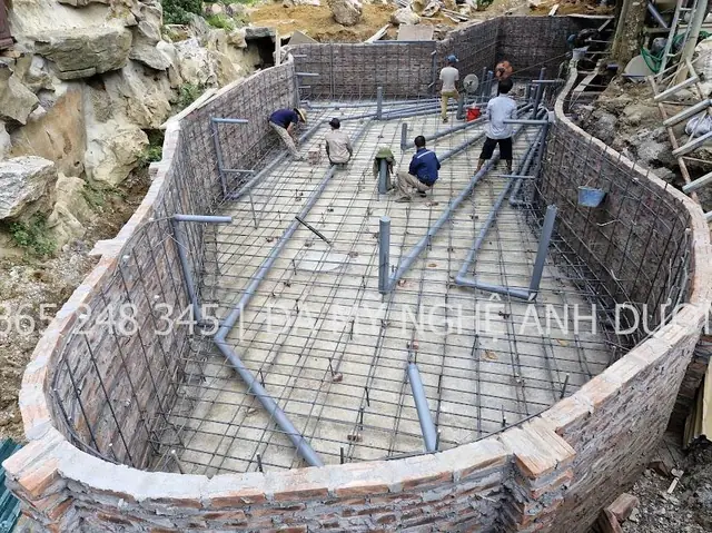 Hệ Thống Lọc Nước Hồ Cá: Phân Loại, Nguyên Lý & Top Lựa Chọn Tốt Nhất