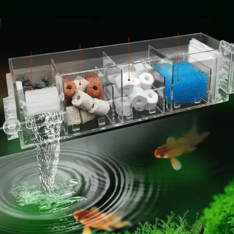 Hệ Thống Lọc Nước Hồ Cá: Phân Loại, Nguyên Lý & Top Lựa Chọn Tốt Nhất