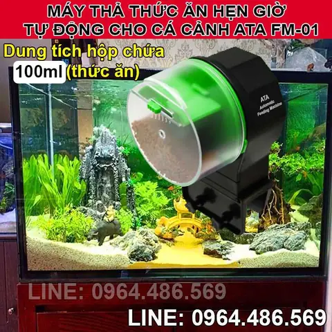 Máy Cho Cá Ăn Hẹn Giờ Tự Động: Hướng Dẫn Chọn Mua & Sử Dụng Hiệu Quả
